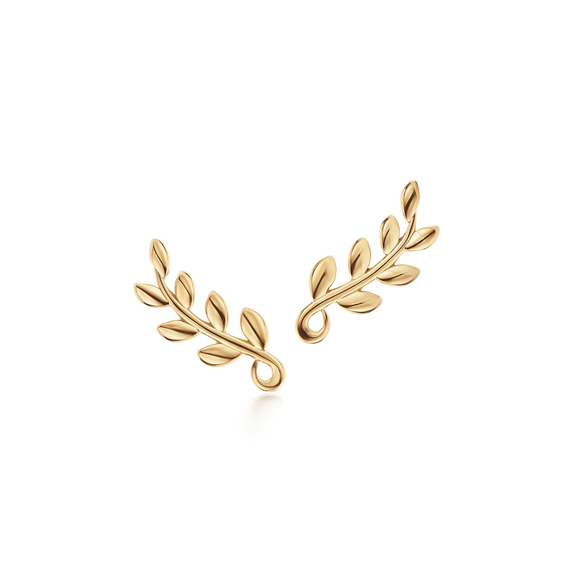 Olive Branch Silver Earrings – 925 Sterling Silver