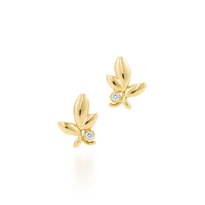 Olive Leaf Taşlı Gümüş Küpe - 925 Ayar