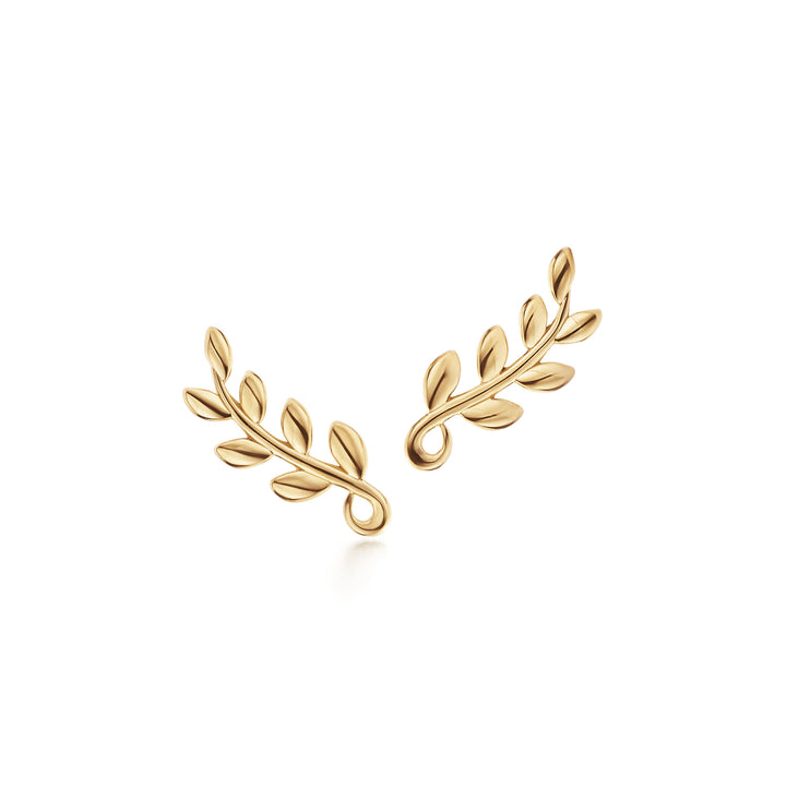Olive Branch Gümüş Küpe- 925 Ayar